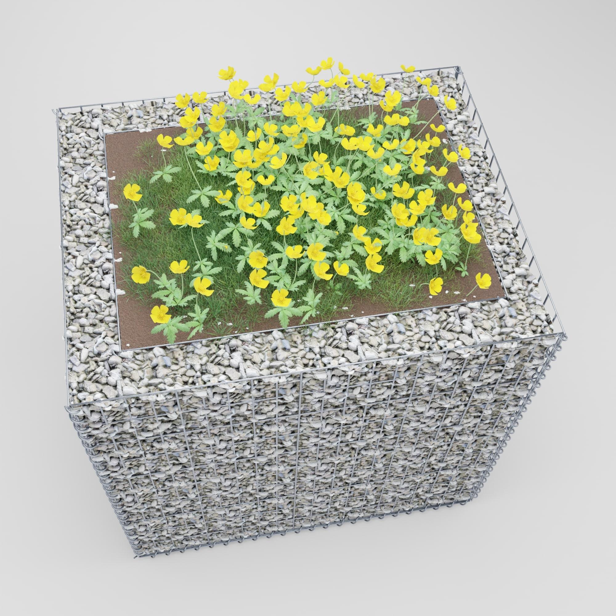 Lecho elevado rectangular 100 cm x 100 cm x 80 cm (largo x alto x fondo), malla 5 x 10 cm, espesor de pared 10 cm