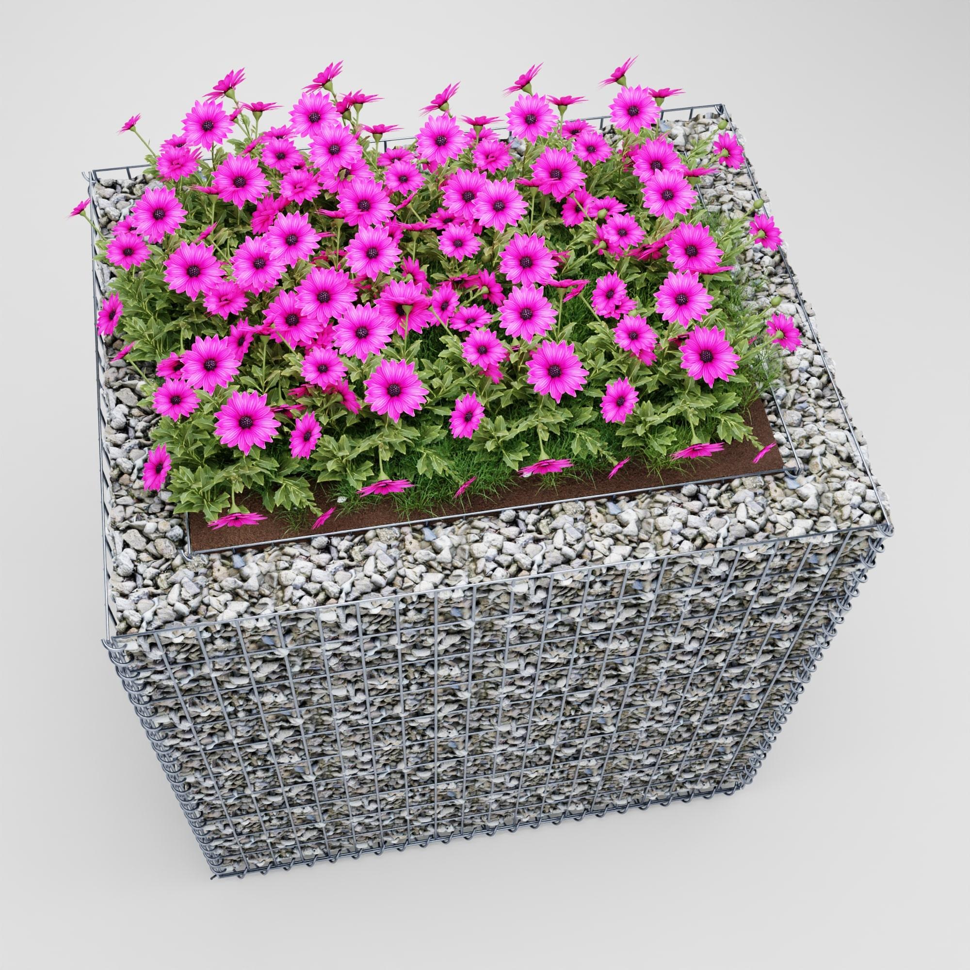 Højbed firkantet 100 cm x 80 cm x 100 cm (L x H x D), maskestørrelse 5 x 10 cm, vægtykkelse 10 cm