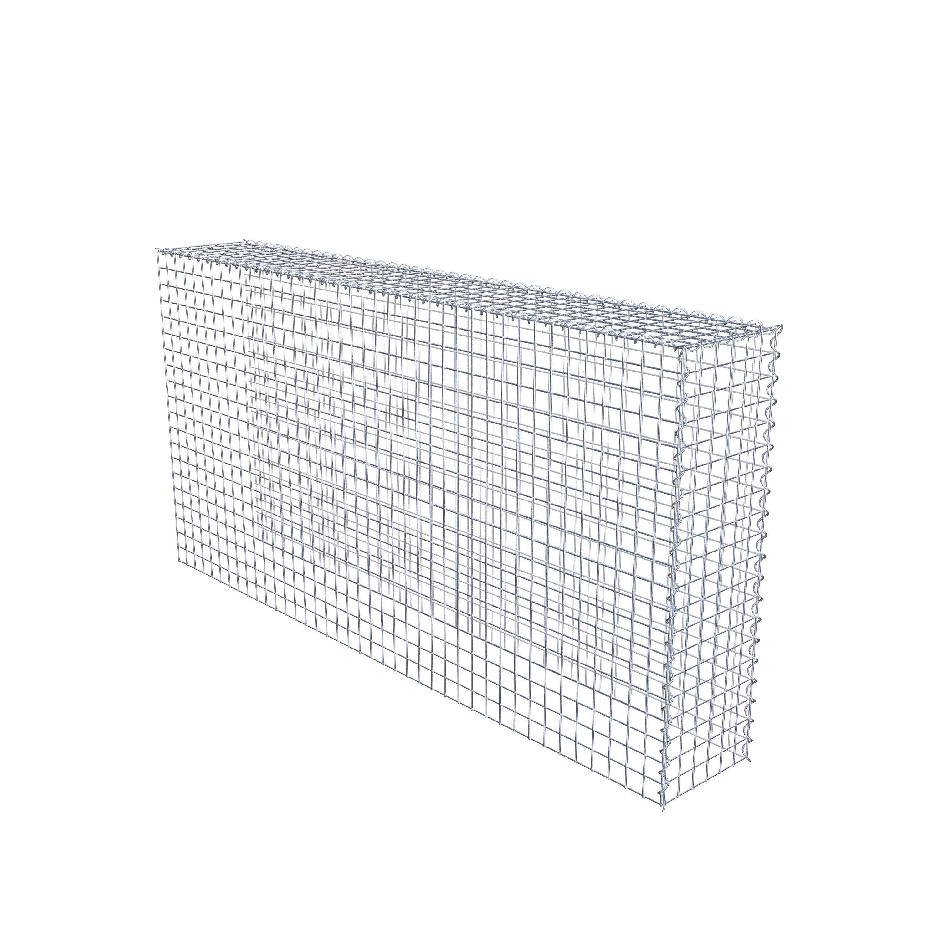 Grown-on gabion type 4 200 cm x 100 cm x 30 cm (L x H x D), mesh size 5 cm x 5 cm, spiral