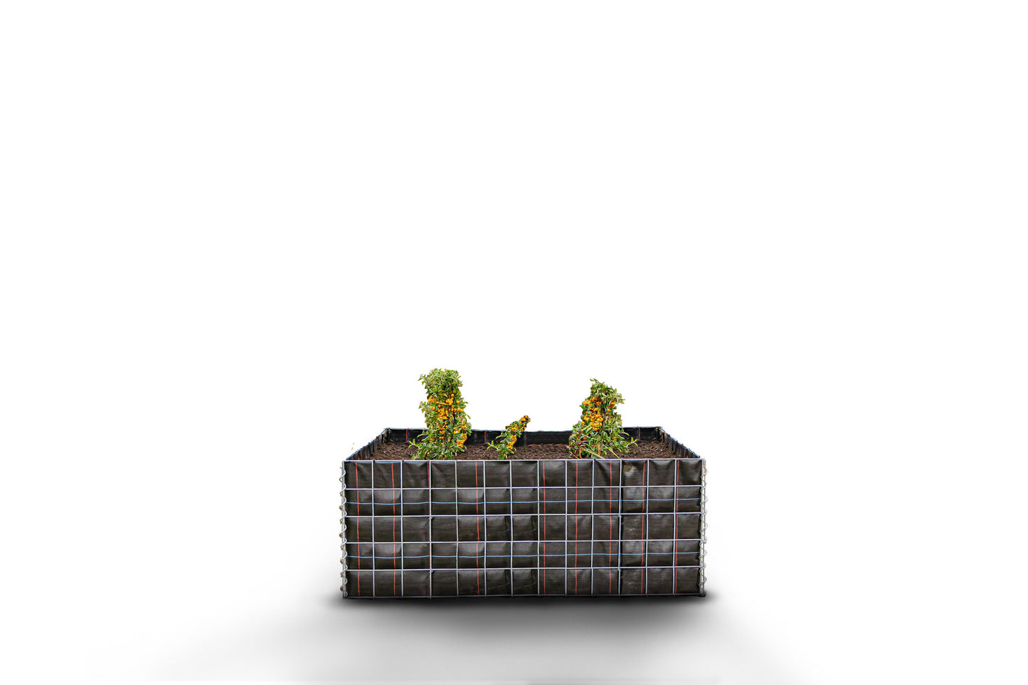 Rechthoekig verhoogd bed zonder stenen - Lengte: 130 cm - Hoogte: 50 cm - Diepte: 80 cm - Maaswijdte: 10 x 10 cm