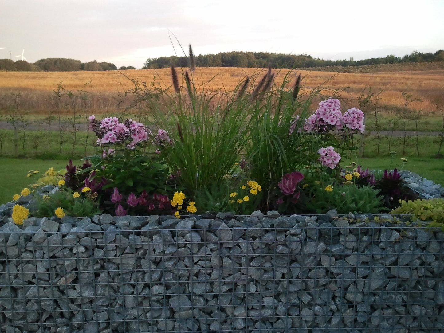 Rechthoekig verhoogd bed 200 cm x 100 cm x 100 cm (L x H x D), maaswijdte 5 x 5 cm, wanddikte 10 cm