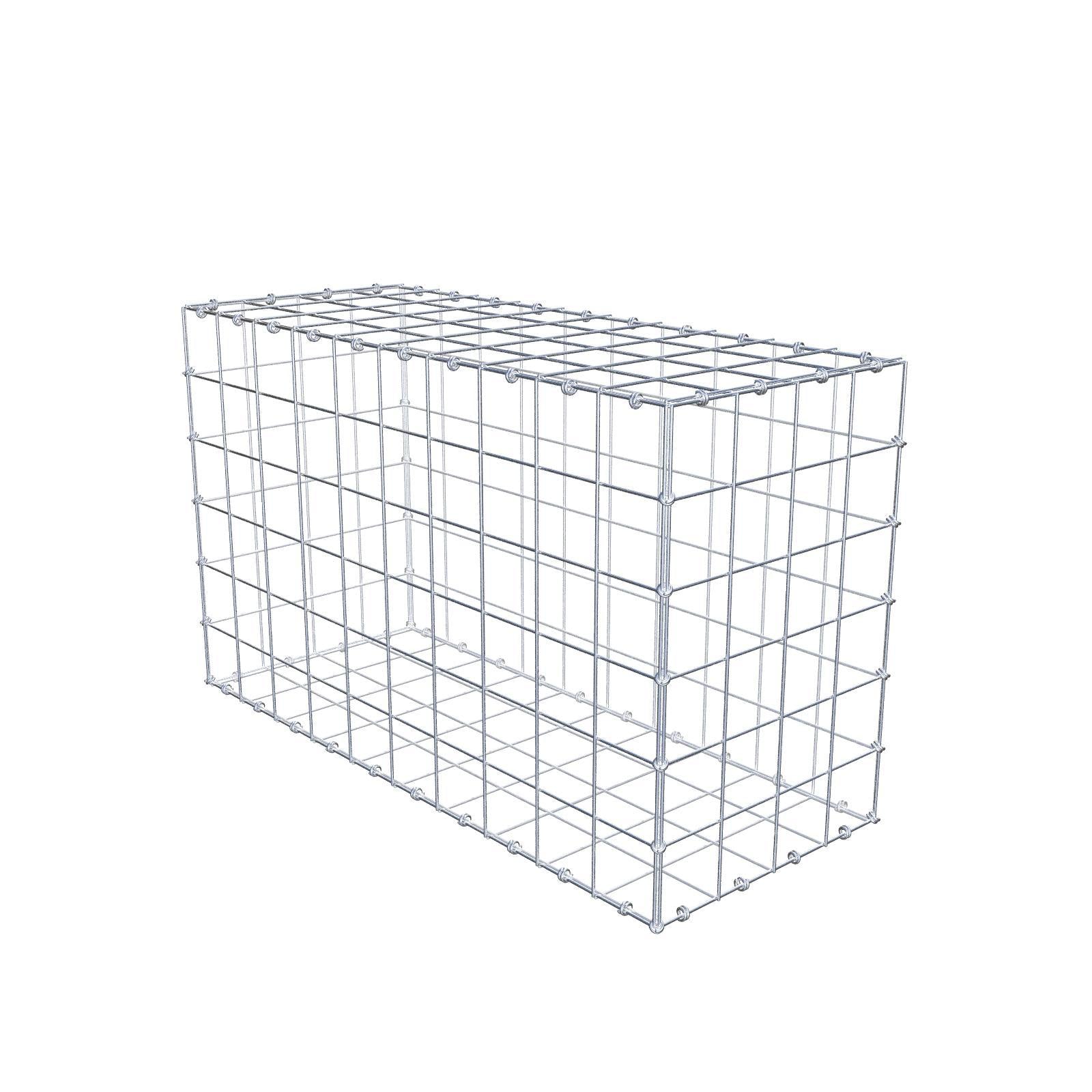 Gabion 100 cm x 60 cm x 40 cm (L x H x P), mailles 10 x 10 cm, anneau en spirale