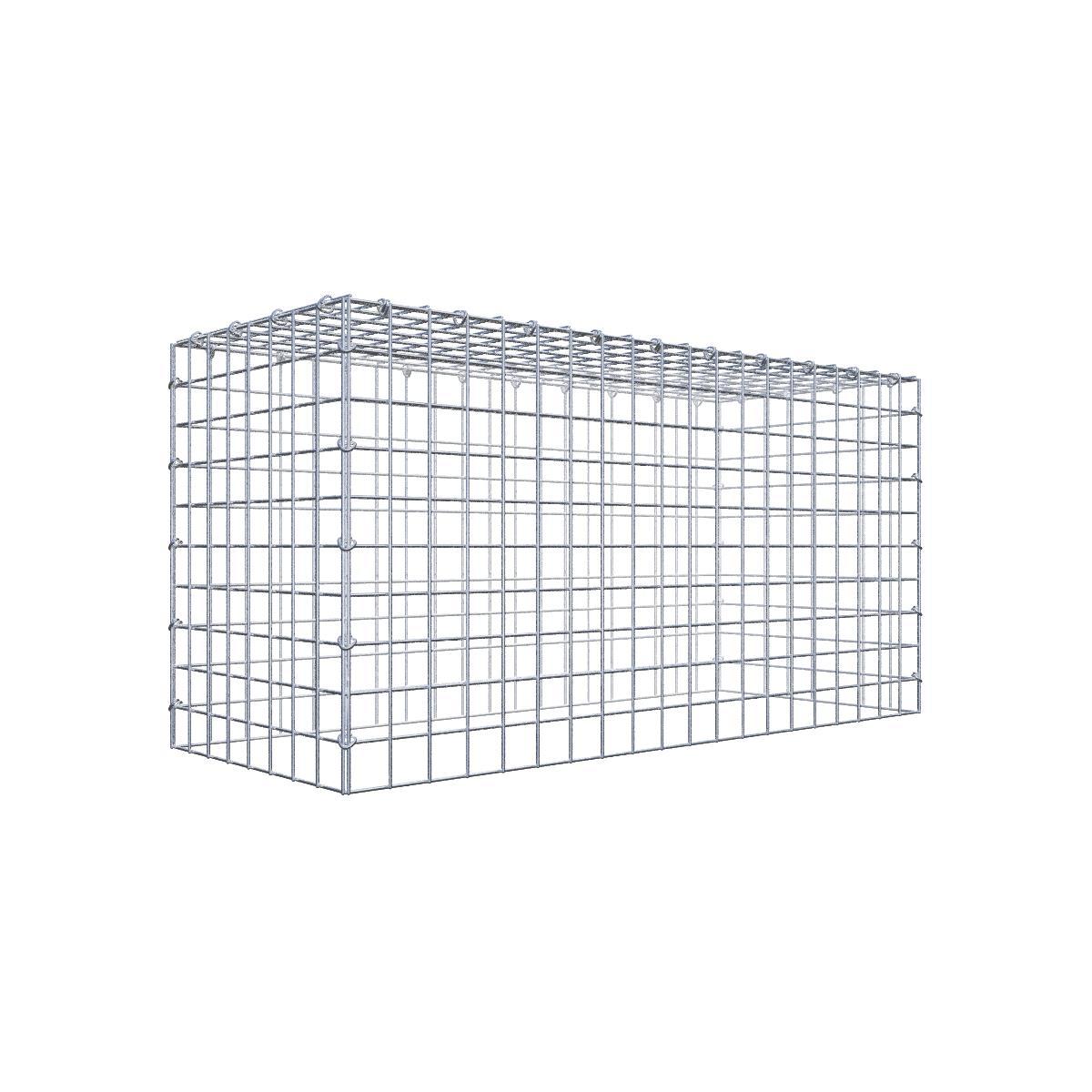 Gabione 05x05 100x050x040 Typ3 C-Ring