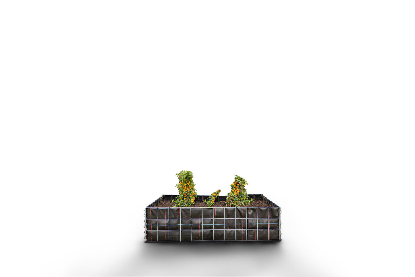 Rechthoekig verhoogd bed zonder stenen - Lengte: 120 cm - Hoogte: 30 cm - Diepte: 50 cm - Maaswijdte: 10 x 10 cm