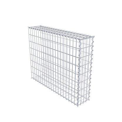 Grown-on gabion type 2 100 cm x 80 cm x 20 cm (L x H x D), mesh size 5 cm x 10 cm, spiral