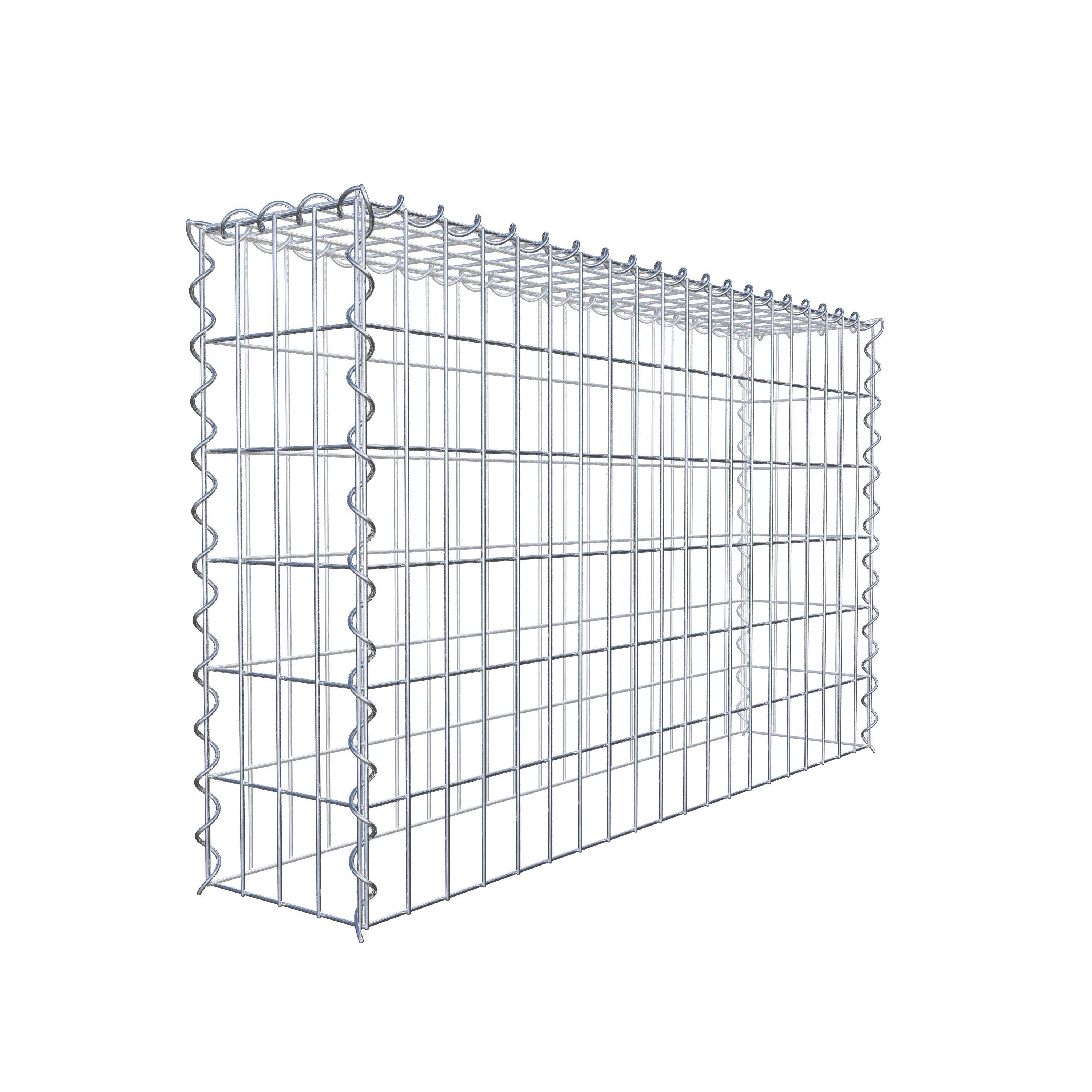 Grown-on gabion type 3 100 cm x 60 cm x 20 cm (L x H x D), mesh size 5 cm x 10 cm, spiral