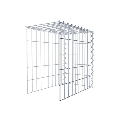 Påväxt gabion typ 4 50 cm x 50 cm x 30 cm (L x H x D), maskstorlek 5 cm x 10 cm, spiral