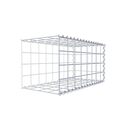 Grown-on gabion type 2 80 cm x 40 cm x 40 cm (L x H x D), mesh size 10 cm x 10 cm, spiral