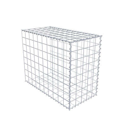 Grown-on gabion type 2 100 cm x 80 cm x 50 cm (L x H x D), mesh size 10 cm x 10 cm, spiral