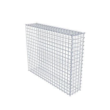 Grown-on gabion type 2 100 cm x 80 cm x 20 cm (L x H x D), mesh size 5 cm x 5 cm, spiral
