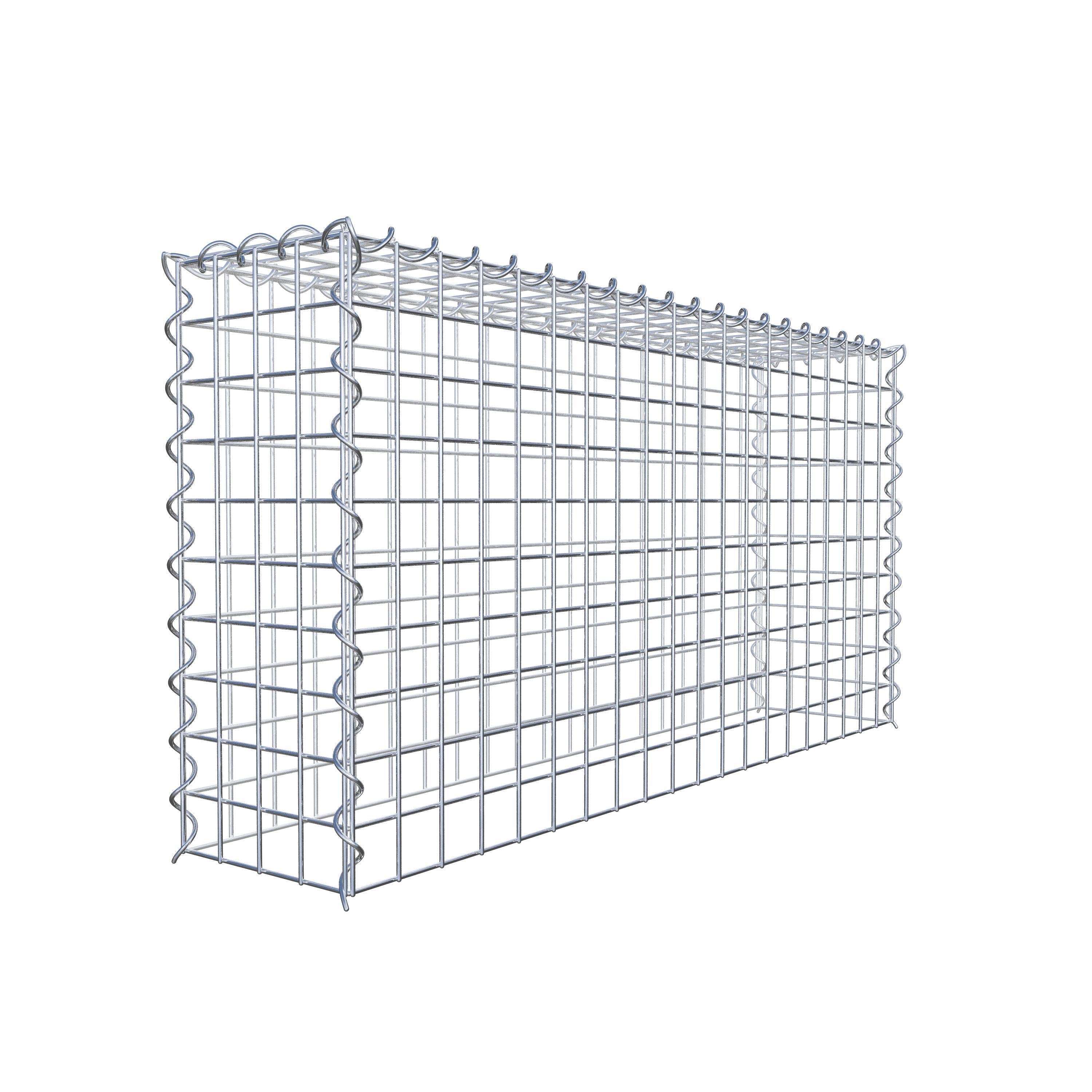 Opvokset gabion type 3 100 cm x 50 cm x 20 cm (L x H x D), maskestørrelse 5 cm x 5 cm, spiral