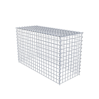 Extra gabion typ 3 100 cm x 60 cm x 40 cm (L x H x D), maskstorlek 5 cm x 5 cm, spiral