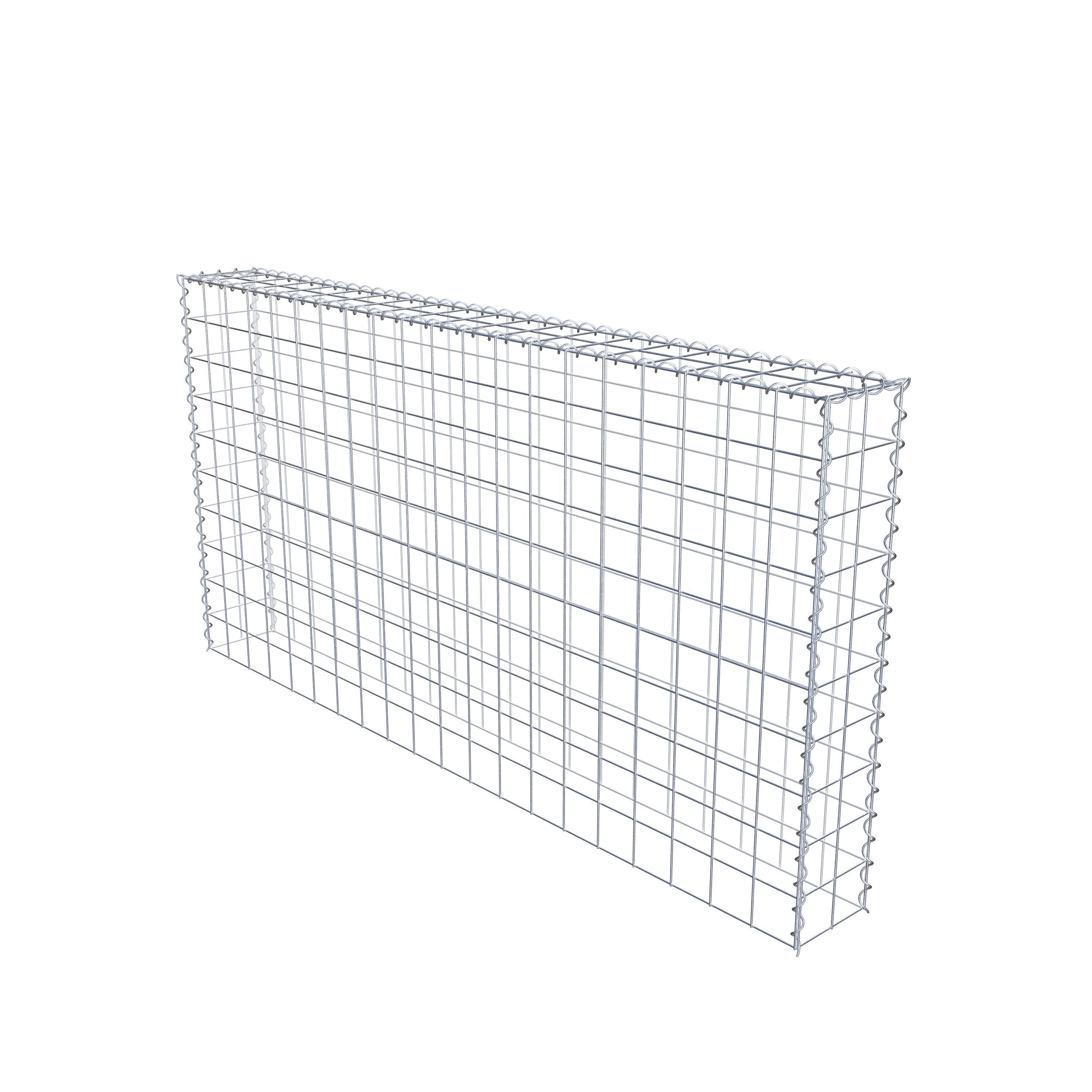 Grown-on gabion type 3 200 cm x 100 cm x 20 cm (L x H x D), mesh size 10 cm x 10 cm, spiral