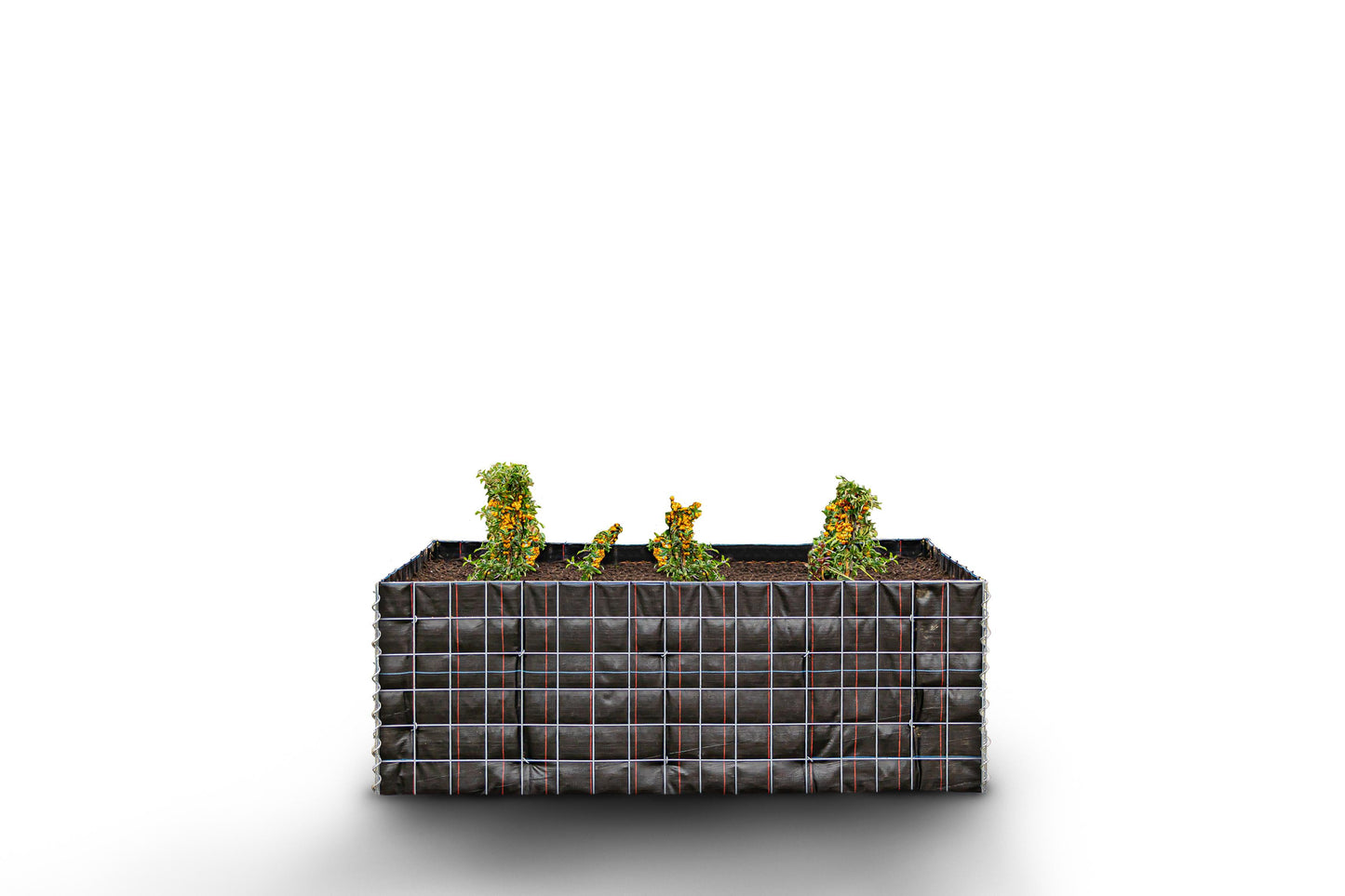 Lecho elevado rectangular sin zona de piedras - Longitud: 170 cm - Altura: 60 cm - Profundidad: 60 cm - Luz de malla: 10 x 10 cm