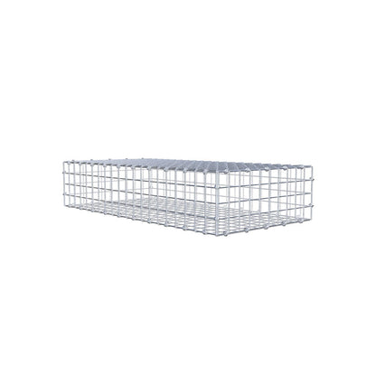 Gabion 100 cm x 20 cm x 50 cm (L x H x D), maskstorlek 5 x 5 cm, spiralring