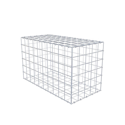 Gabion 100 cm x 60 cm x 50 cm (L x H x D), maskstorlek 10 x 10 cm, spiralring