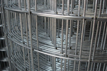 Rouleau de fil métallique 12 m x 1 m x 0,8 mm, mailles 12,7 x 12,7 mm