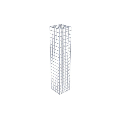 Monteret gabion type 2 100 cm x 20 cm x 20 cm (L x H x D), maskestørrelse 5 cm x 5 cm, C-ring