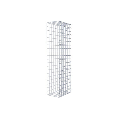 Monteret gabion type 2 100 cm x 30 cm x 20 cm (L x H x D), maskestørrelse 5 cm x 5 cm, C-ring