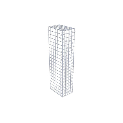 Monteret gabion type 2 100 cm x 30 cm x 20 cm (L x H x D), maskestørrelse 5 cm x 5 cm, C-ring