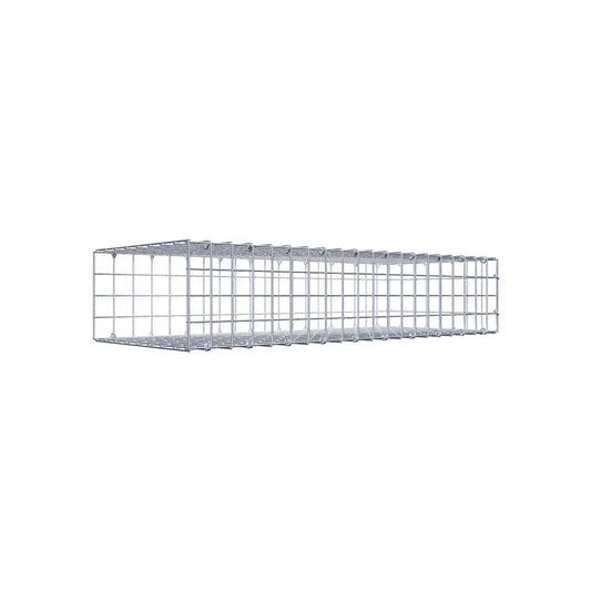 Gabione 05x05 100x020x040 Typ2 C-Ring