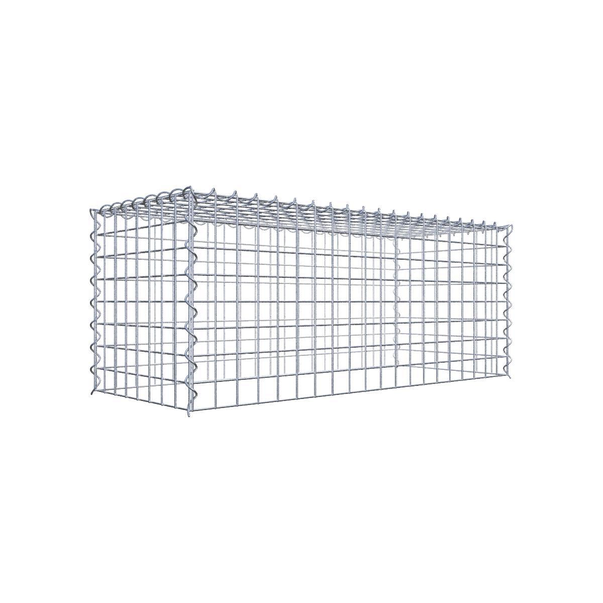 Gabione 05x05 100x040x040 Typ3 Spiral