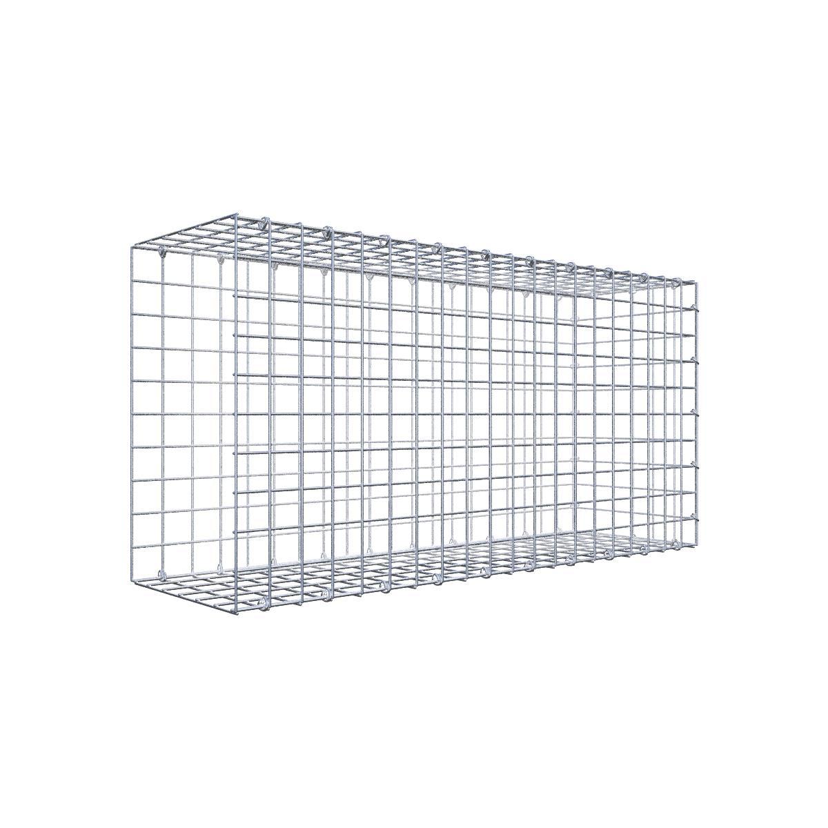 Gabione 05x05 100x050x030 Typ2 C-Ring