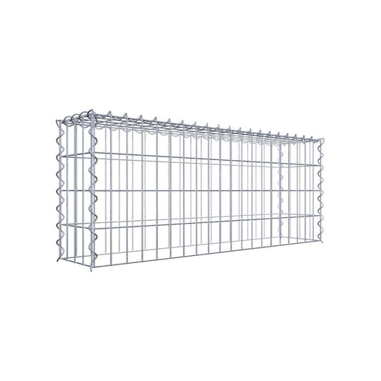 Gabione 05x10 100x040x020 Typ3 Spiral