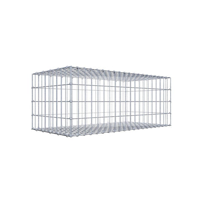 Gabione 05x10 100x040x050 Typ1 C-Ring