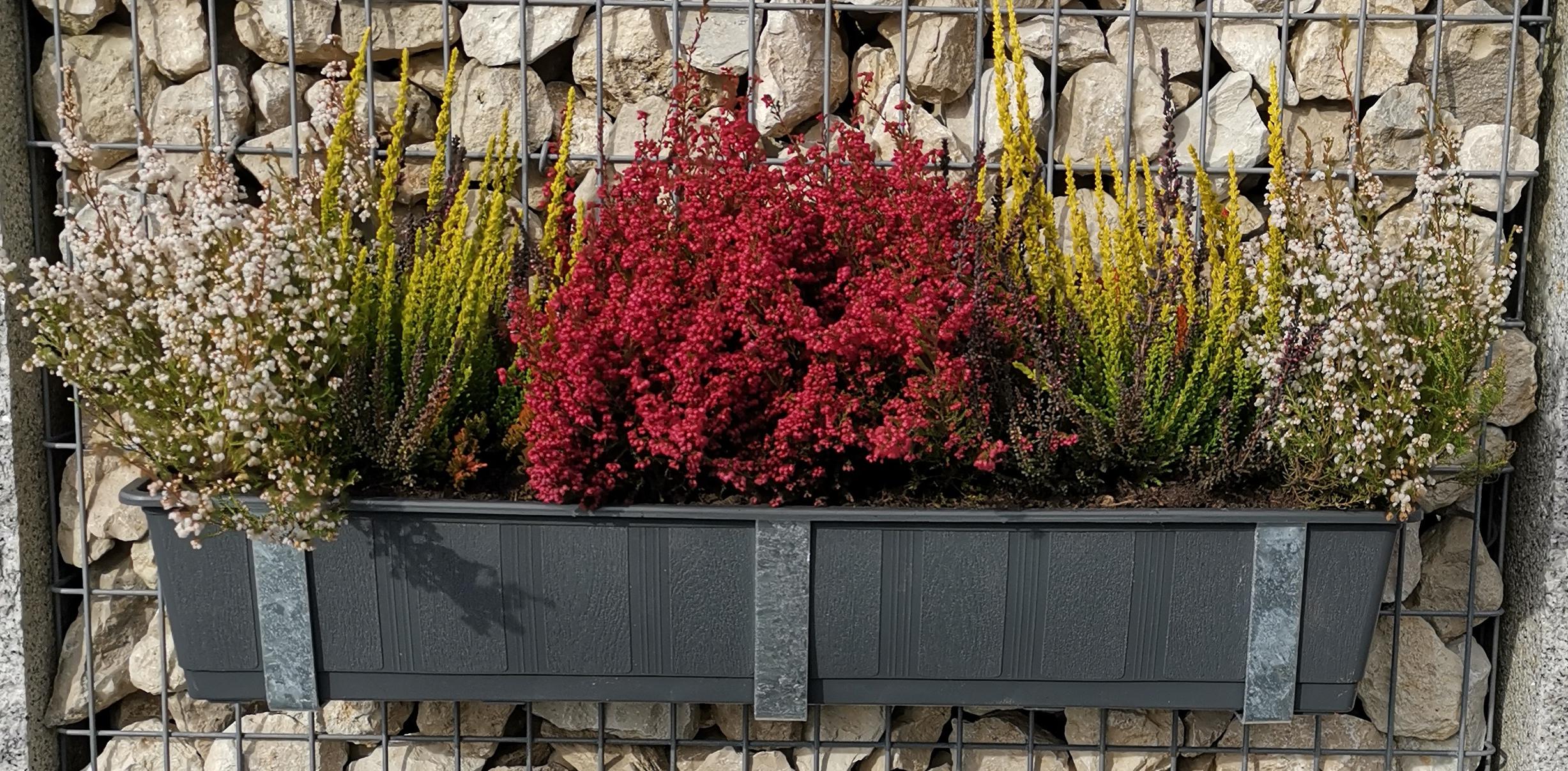 Suporte para caixa de flores galvanizado em um conjunto de 3 incluindo vaso de flores, para gabiões MW 5 x 10