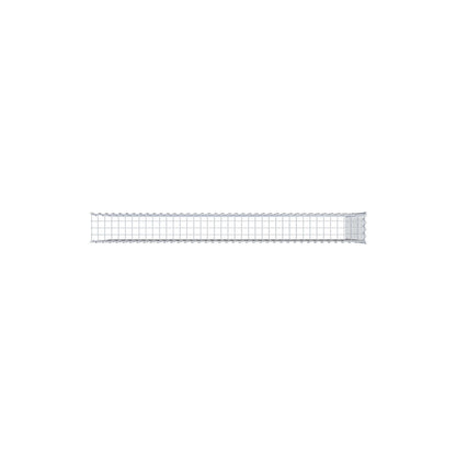Opvokset gabion type 4 200 cm x 100 cm x 20 cm (L x H x D), maskestørrelse 5 cm x 5 cm, spiral
