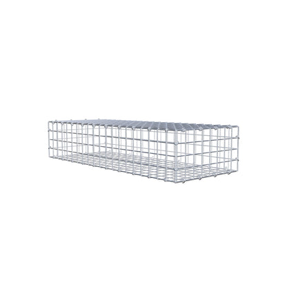 Gabione 100 cm x 20 cm x 40 cm (L x H x T), Maschenweite 5 cm x 5 cm, C-Ring
