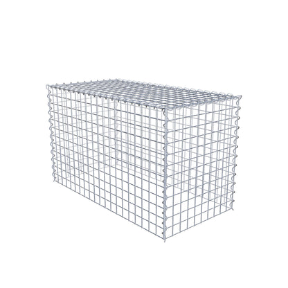 Grown-on gabion type 3 100 cm x 60 cm x 50 cm (L x H x D), mesh size 5 cm x 5 cm, spiral