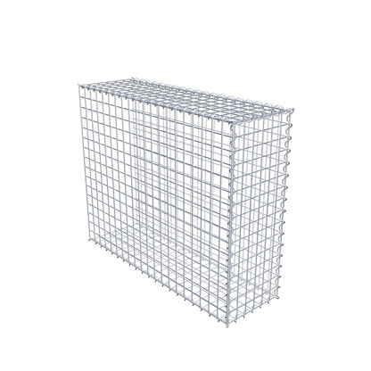 Påväxt gabion typ 2 100 cm x 80 cm x 30 cm (L x H x D), maskstorlek 5 cm x 5 cm, spiral