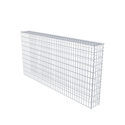 Opvokset gabion type 4 200 cm x 100 cm x 20 cm (L x H x D), maskestørrelse 5 cm x 10 cm, spiral