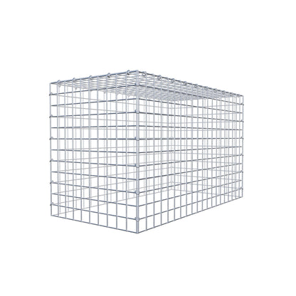 Type 3 oplegkorf 100 cm x 60 cm x 50 cm (L x H x D), maaswijdte 5 cm x 5 cm, C-ring