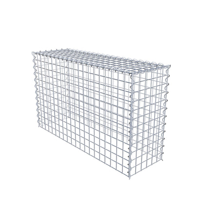 Grown-on gabion type 3 100 cm x 60 cm x 30 cm (L x H x D), mesh size 5 cm x 5 cm, spiral