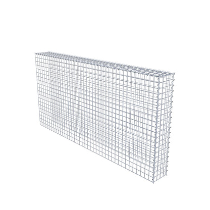 Opvokset gabion type 4 200 cm x 100 cm x 20 cm (L x H x D), maskestørrelse 5 cm x 5 cm, spiral