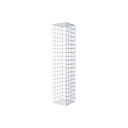 Anbaugabione Typ 2 100 cm x 20 cm x 20 cm (L x H x T), Maschenweite 5 cm x 5 cm, C-Ring