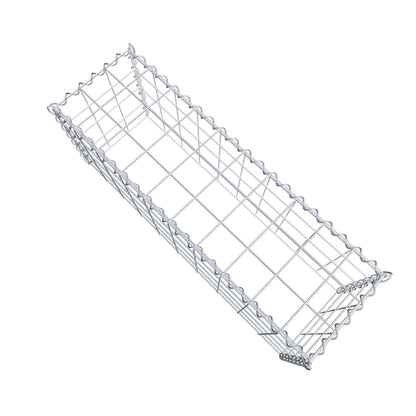 Grown-on gabion type 3 100 cm x 40 cm x 30 cm (L x H x D), mesh size 10 cm x 10 cm, spiral