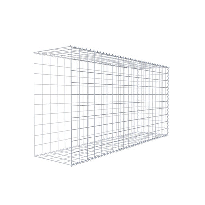 Gabbione aggiuntivo tipo 2 200 cm x 100 cm x 50 cm (L x A x P), maglia 10 cm x 10 cm, spirale