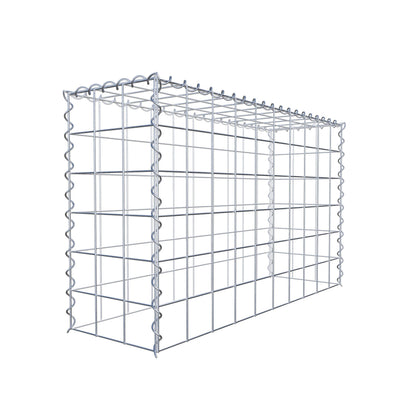Påväxt gabion typ 3 100 cm x 60 cm x 30 cm (L x H x D), maskstorlek 10 cm x 10 cm, spiral