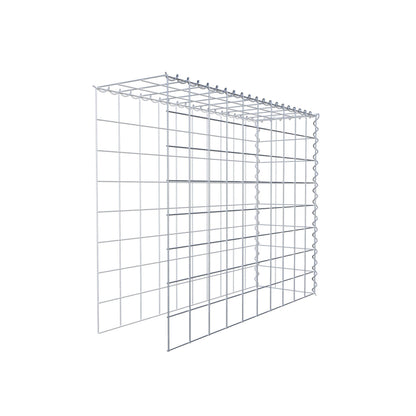 Påväxt gabion typ 4 100 cm x 80 cm x 30 cm (L x H x D), maskstorlek 10 cm x 10 cm, spiral