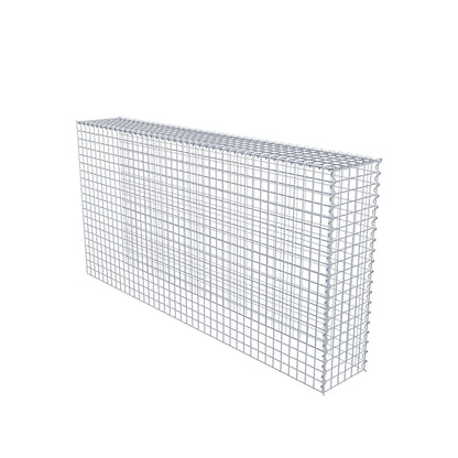 Anbaugabione Typ 4 200 cm x 100 cm x 30 cm (L x H x T), Maschenweite 5 cm x 5 cm, Spirale