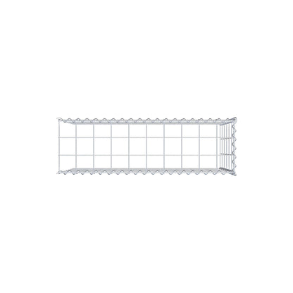 Påväxt gabion typ 4 100 cm x 60 cm x 30 cm (L x H x D), maskstorlek 10 cm x 10 cm, spiral