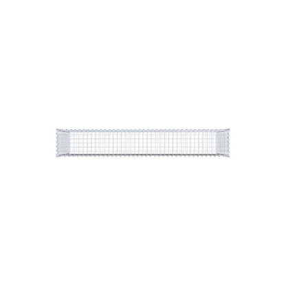 Gabion 200 cm x 100 cm x 30 cm (L x H x D), maskstorlek 5 cm x 5 cm, spiral