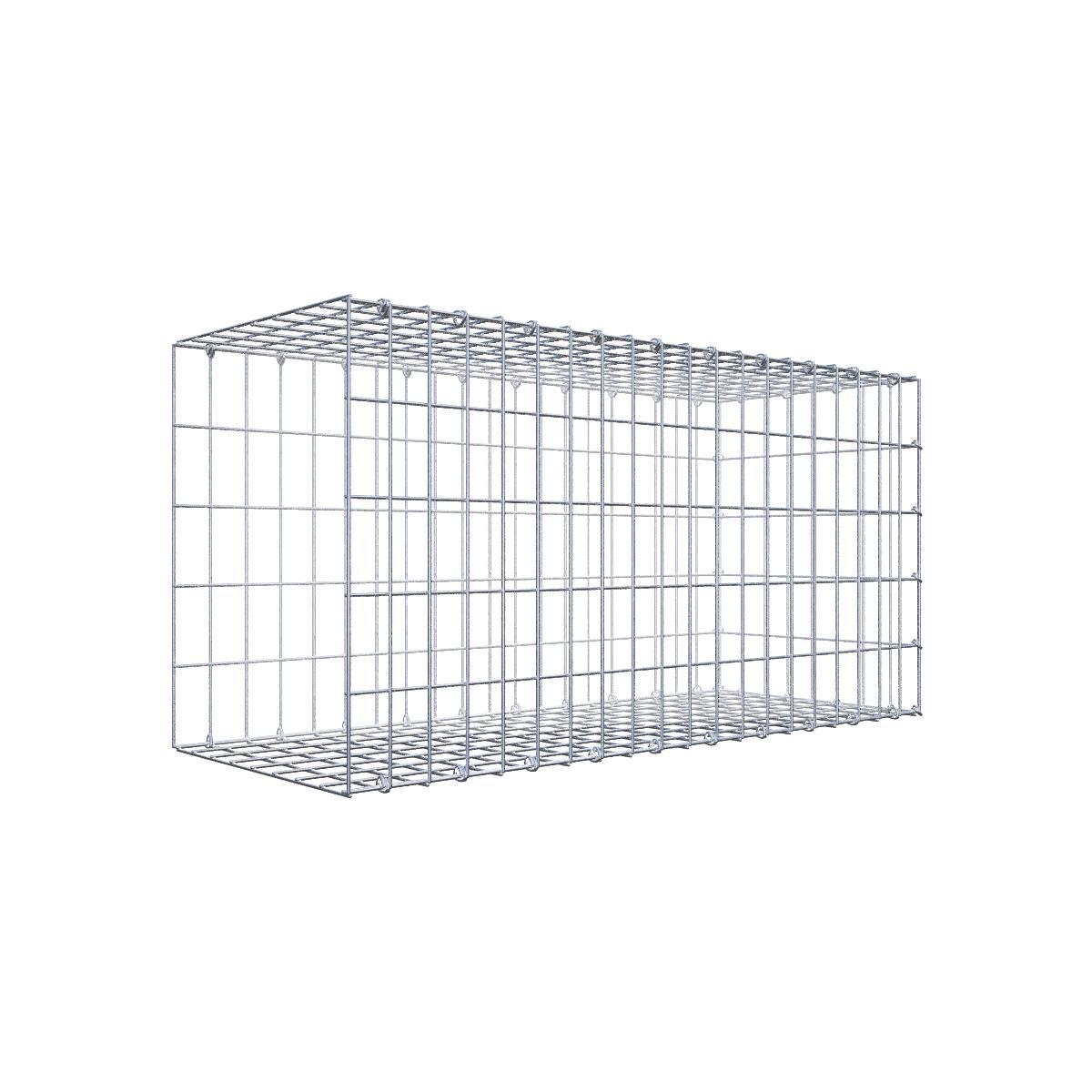 Gabione 05x10 100x050x040 Typ2 C-Ring