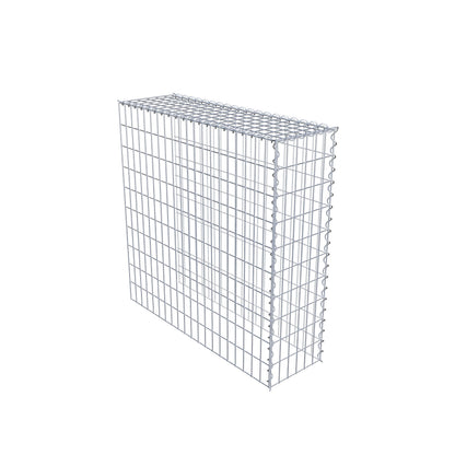 Grown-on gabion type 4 100 cm x 100 cm x 30 cm (L x H x D), mesh size 5 cm x 10 cm, spiral