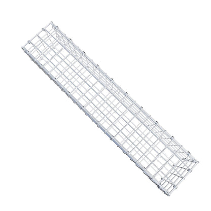 Gabbione 100 cm x 20 cm x 20 cm (L x H x P), maglia 5 x 5 cm, anello a spirale